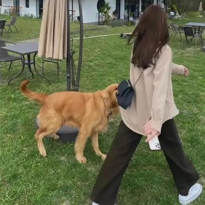 王牌售车员
